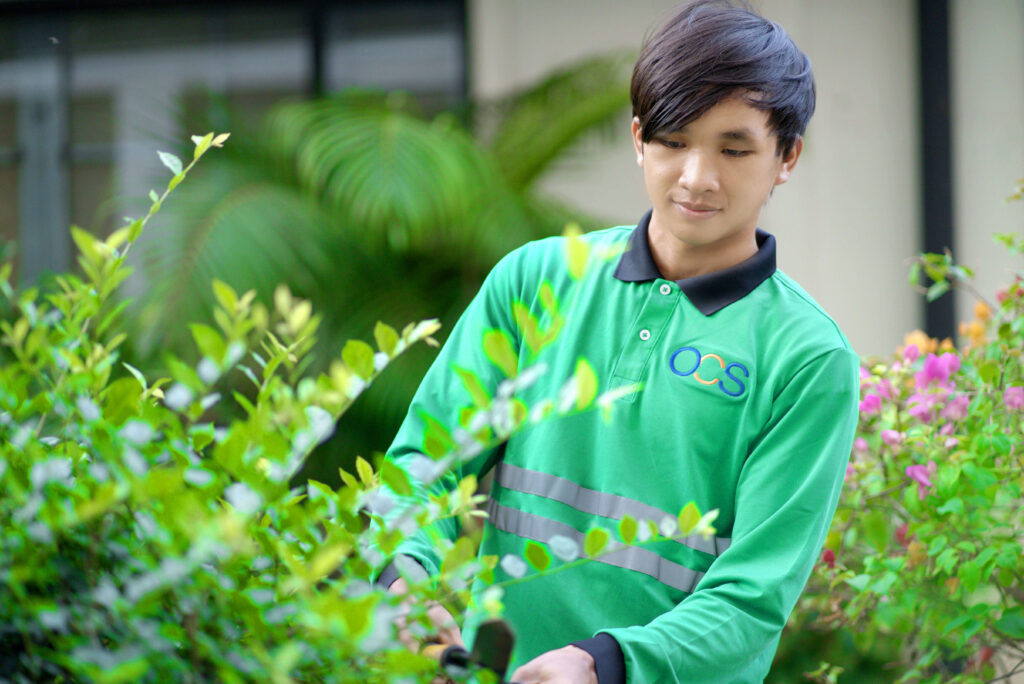 A young man in a green shirt carefully trims plants while working with colleagues in a Cambodian landscaping project.