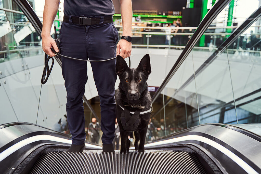 K9 Patrols