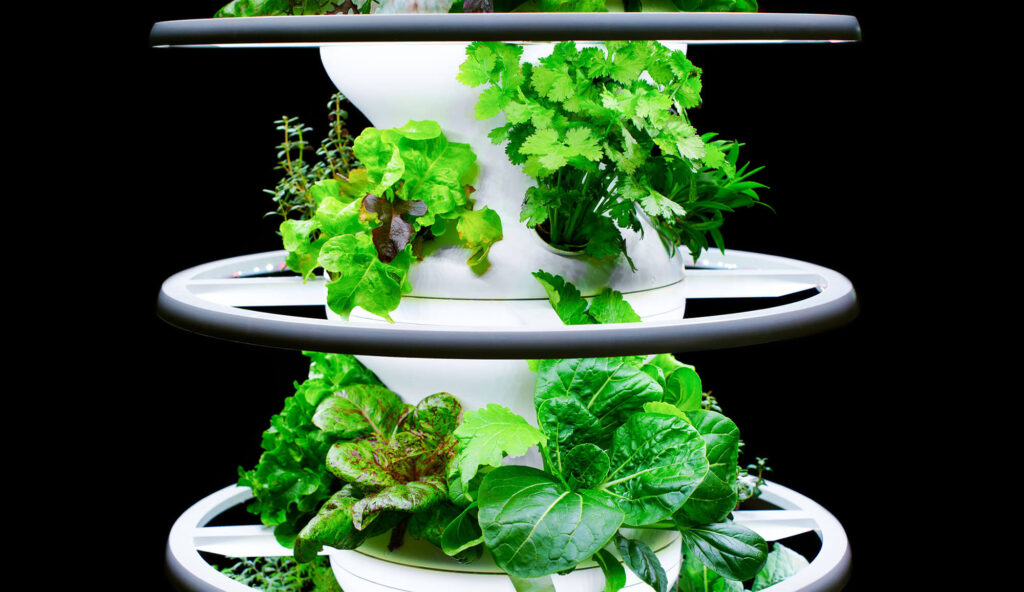 OCS Introduces Innovative Hydroponic Farming to Revolutionise Workplace Sustainability