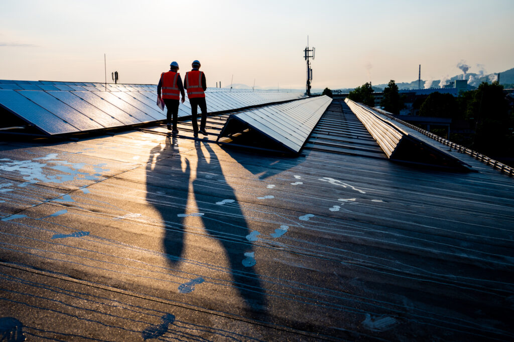 Sustainable Transport for Net Zero
