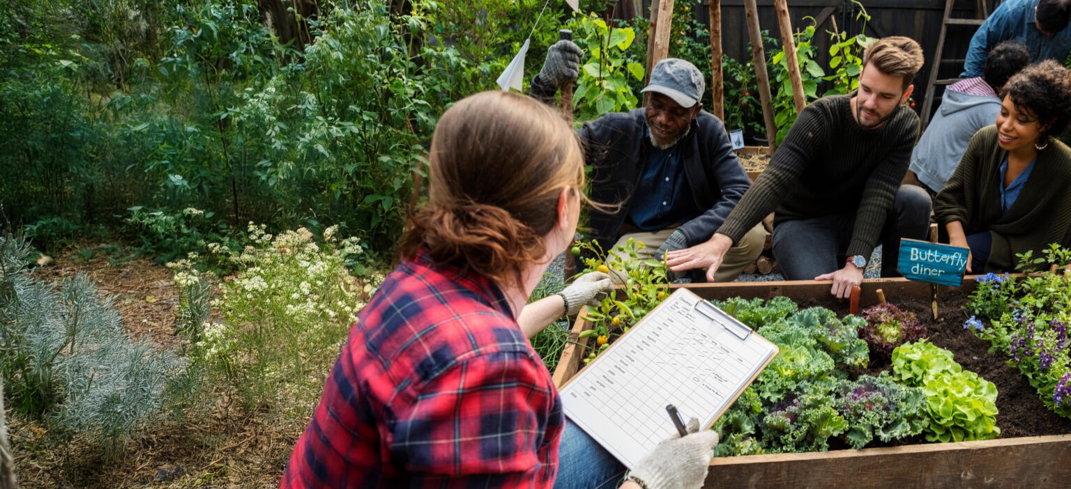 A group of people gathers in a lush garden, discussing plants around a raised garden bed. One person holds a clipboard, while others gesture and observe the vegetables and greens.