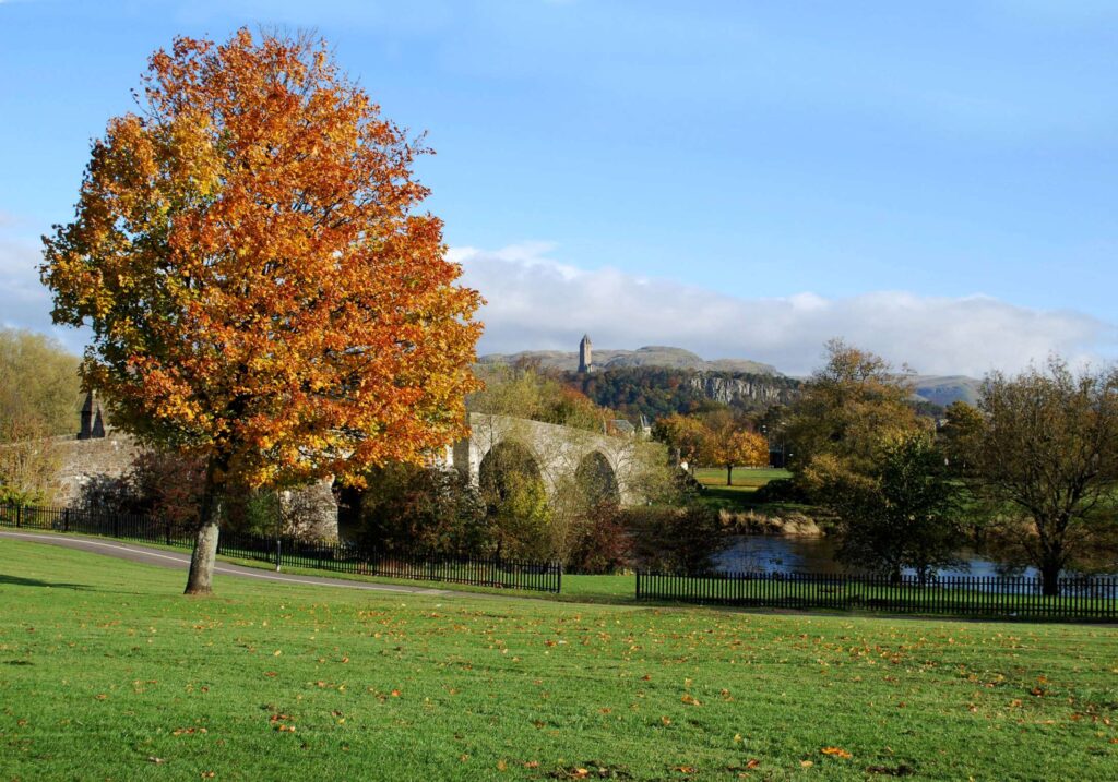 A large tree with autumn leaves stands in a grassy park near an old stone bridge, with a river, distant hills, and the Wallace Monument visible under a blue sky.