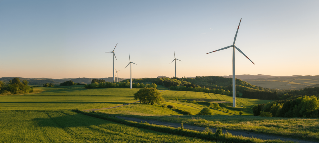 Net Zero Week: Turning Commitment into Action