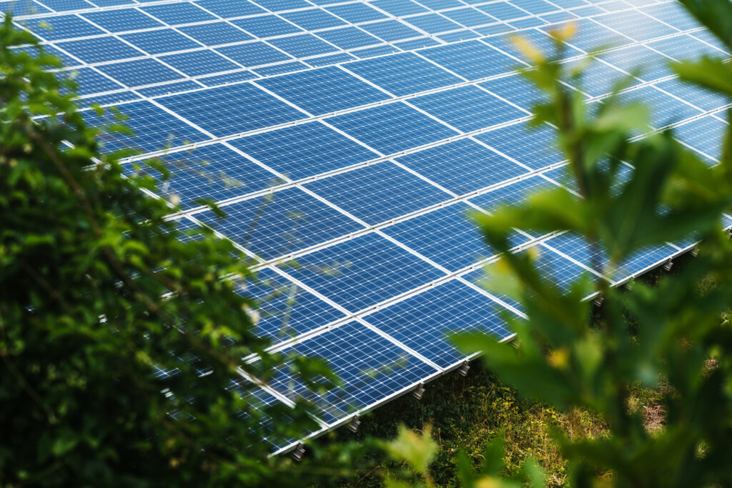 Rethinking Green Building Certifications: Why Sustainability Must Go Beyond the Badge