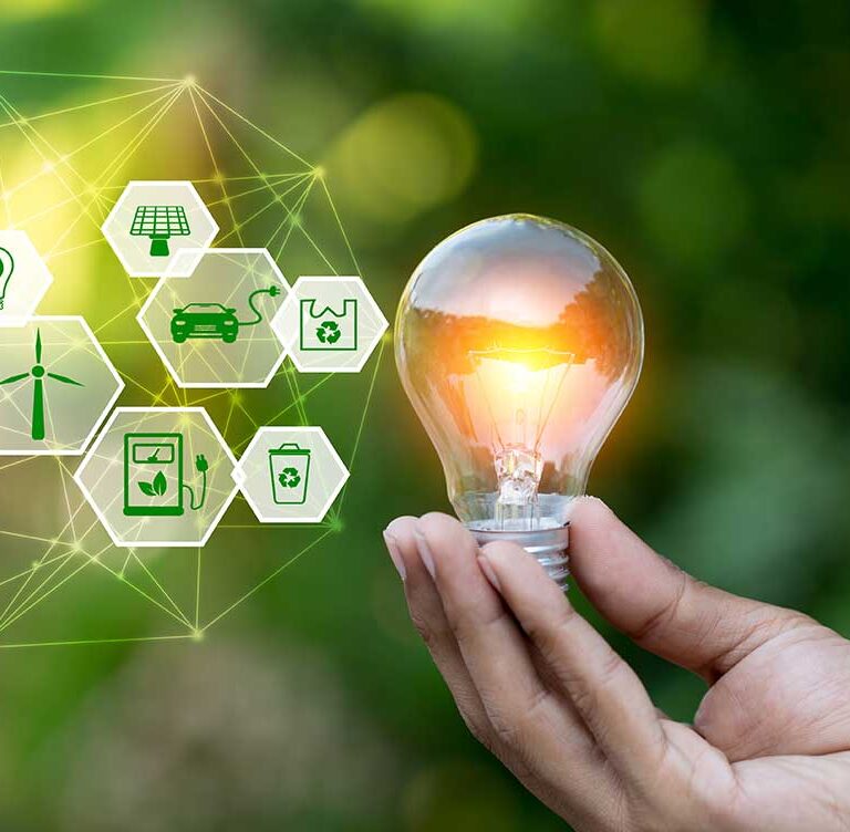 Staying the course on climate commitments with Toitū Envirocare