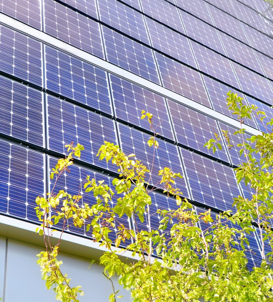 Rows of blue solar panels installed on a building facade, with green tree branches and leaves in the foreground, capturing sunlight for renewable energy generation.