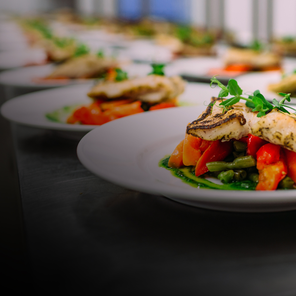 A close-up of plated gourmet dishes featuring grilled fish on a bed of vegetables and green sauce, garnished with microgreens, arranged in a row on a countertop.