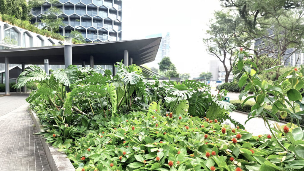 A lush garden with green foliage and red flowers lines a paved walkway next to a modern building with a honeycomb-patterned façade. Trees and city buildings are visible in the background.