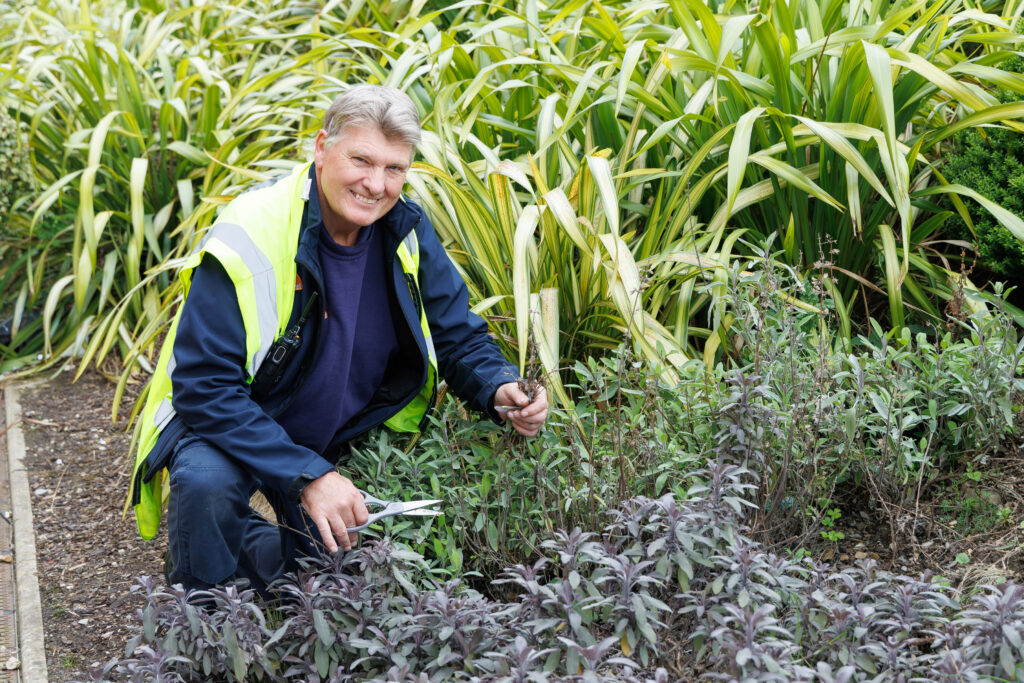 A smiling older man in a high-visibility vest kneels in a garden, holding secateurs and tending to green and purple leafy plants with tall decorative grasses in the background.