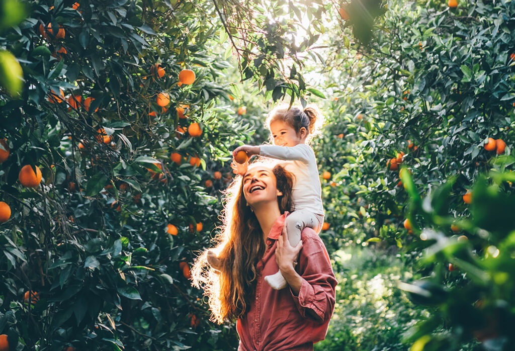 A smiling woman carries a young girl on her shoulders in an orange grove. The child reaches up to pick an orange, surrounded by lush green foliage and sunlight filtering through the trees.