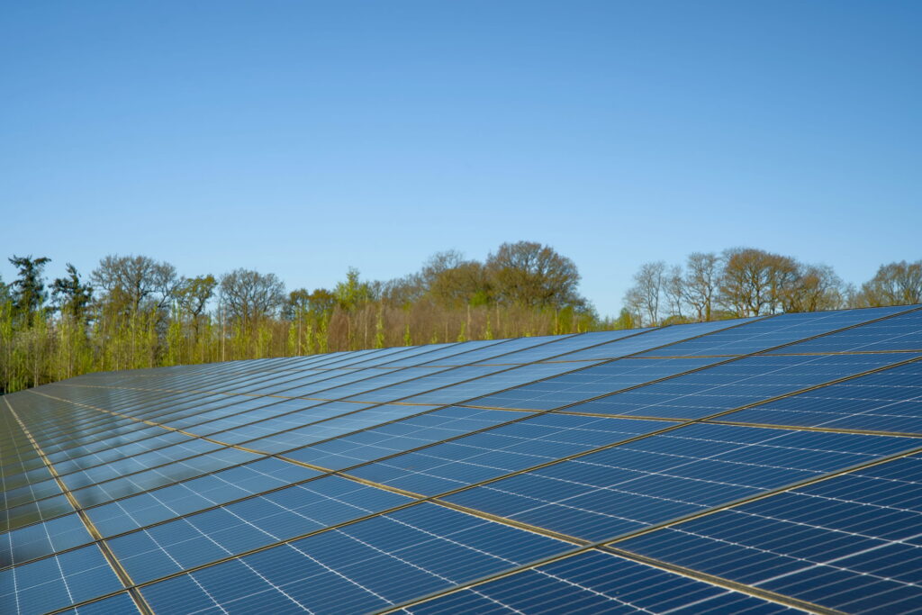 Rows of solar panels in a large open field with leafless trees and blue sky in the background.