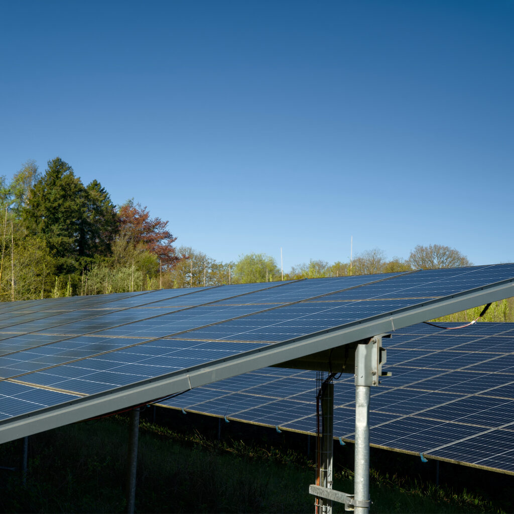 Rows of solar panels in a field, angled towards the sky, with green trees and clear blue sky in the background.