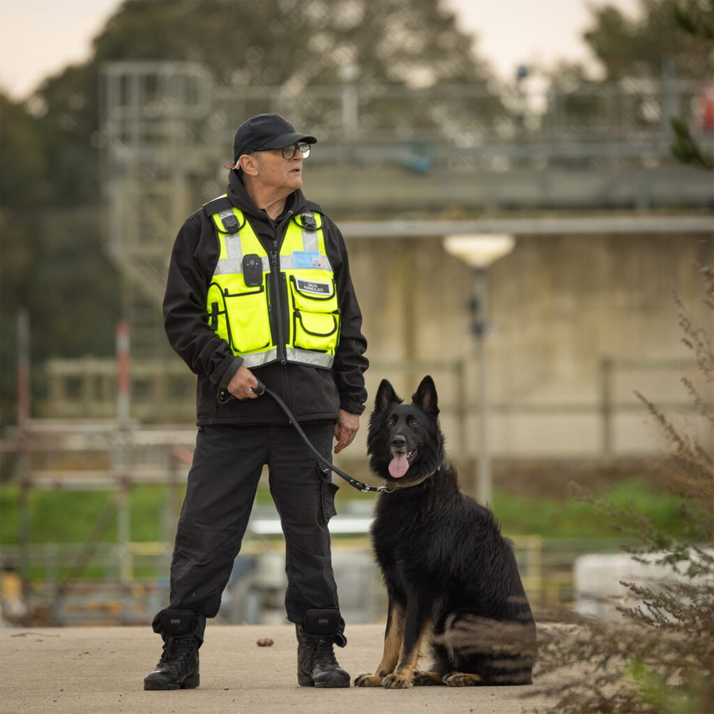 K9 Security Dogs